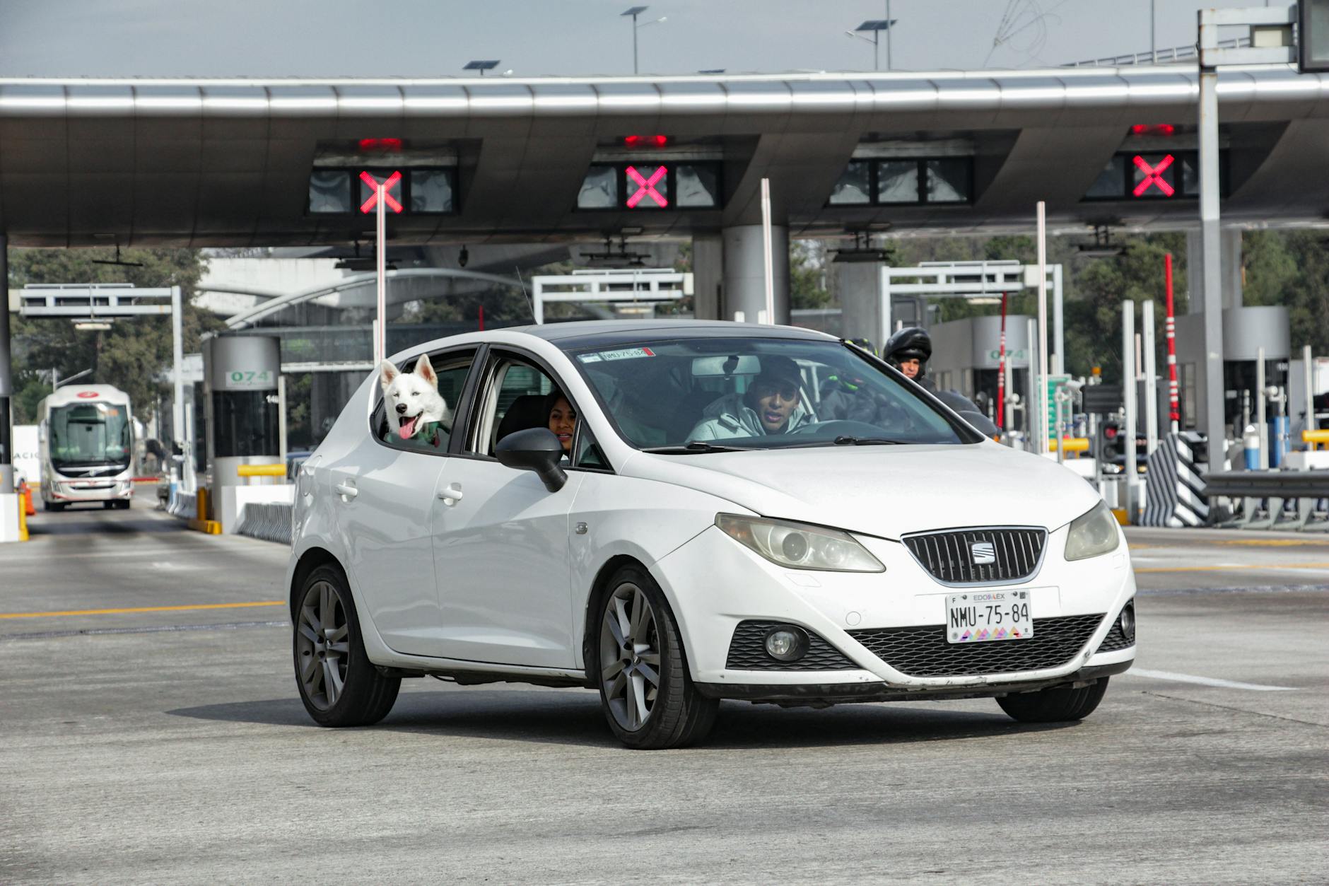 Biały samochód z psem w oknie przejeżdża przez bramkę autostradową