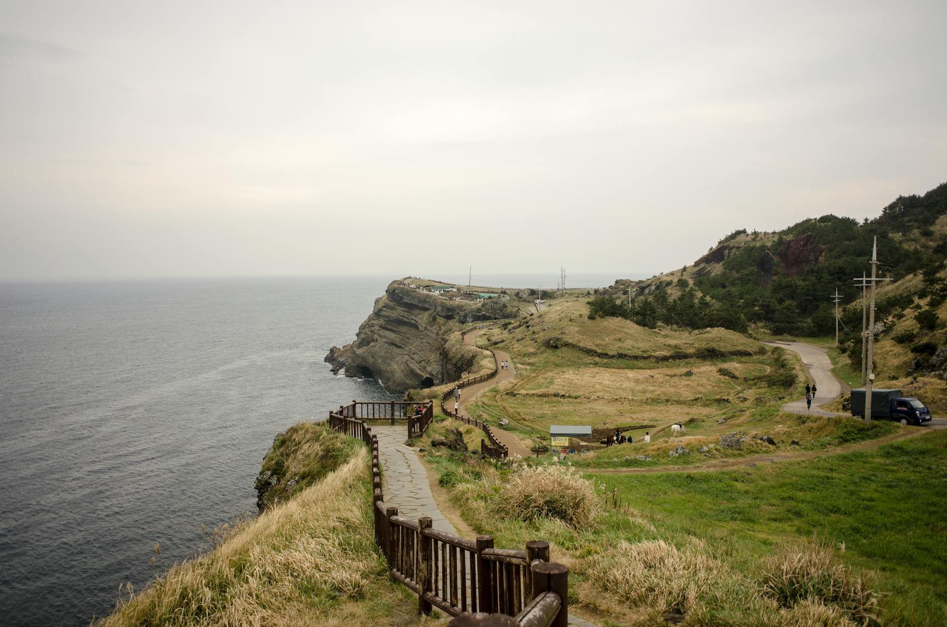 Ścieżka na klifie nad morzem otoczona zielenią w okolicach Kristiansand