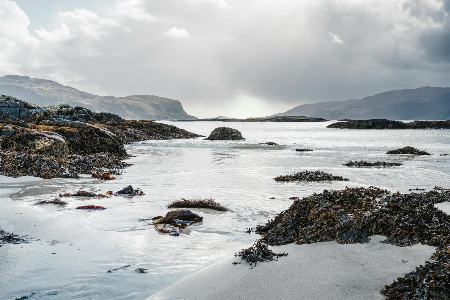 Skaliste wybrzeże Atlantyku z wodorostami i pochmurnym niebem