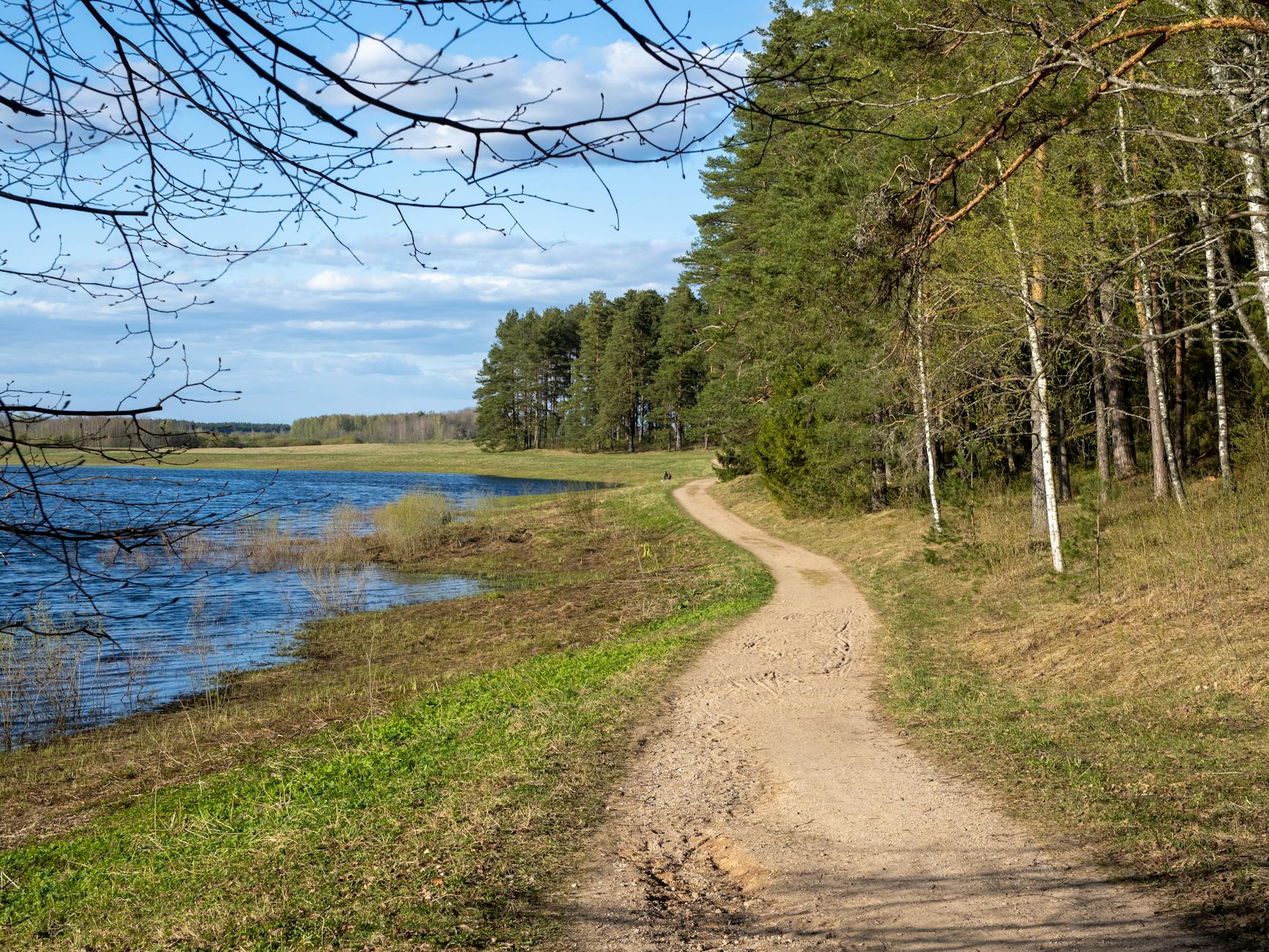 Leśna ścieżka nad spokojnym jeziorem w Baneheia koło Kristiansand