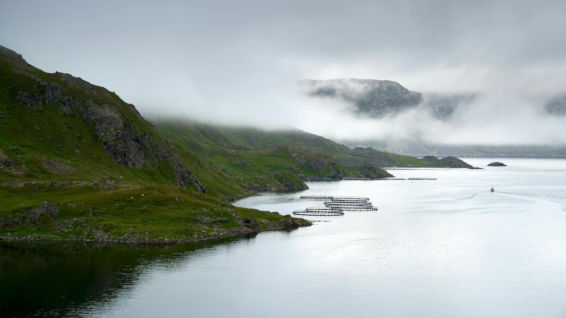 Mglisty fiord z farmą rybną w północnej Norwegii